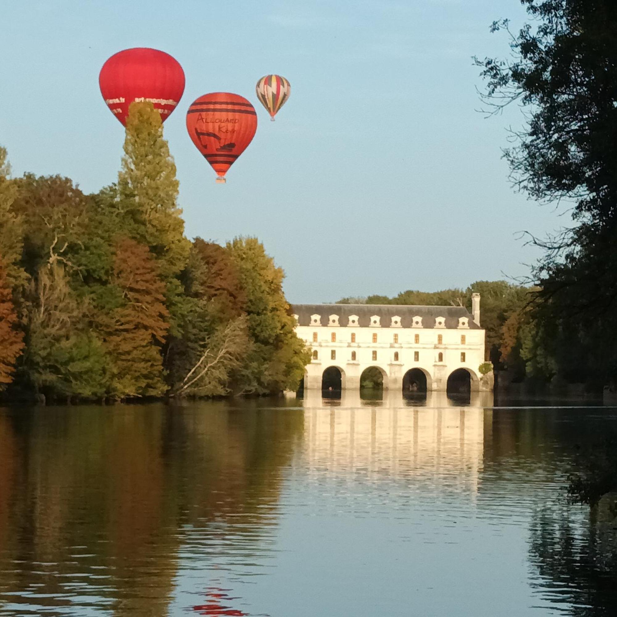 Au Nom Des Dames, Maison Et Table D'Hotes, Pres De Chenonceau Et Du Zoo De Beauval Faverolles-sur-Cher Bagian luar foto