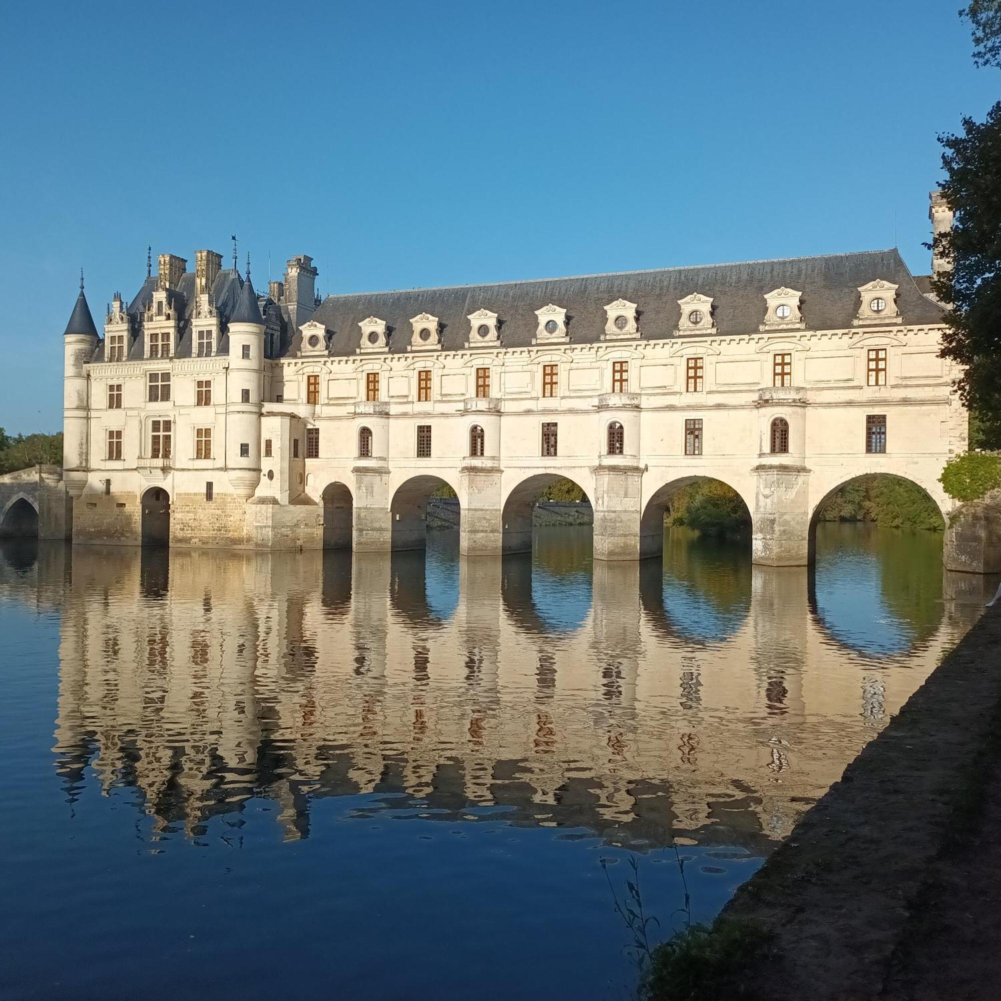 Au Nom Des Dames, Maison Et Table D'Hotes, Pres De Chenonceau Et Du Zoo De Beauval Faverolles-sur-Cher Bagian luar foto